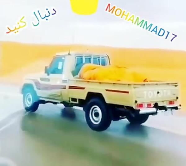 عکس تویوتا خرگوشی شوتی