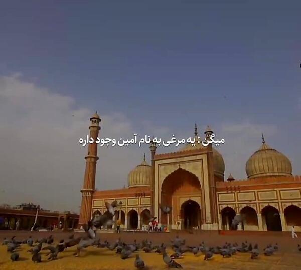 عکس نوشته ظهور صاحب الزمان