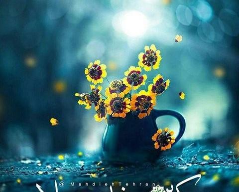 عکس نوشته برای نیمه ی شعبان