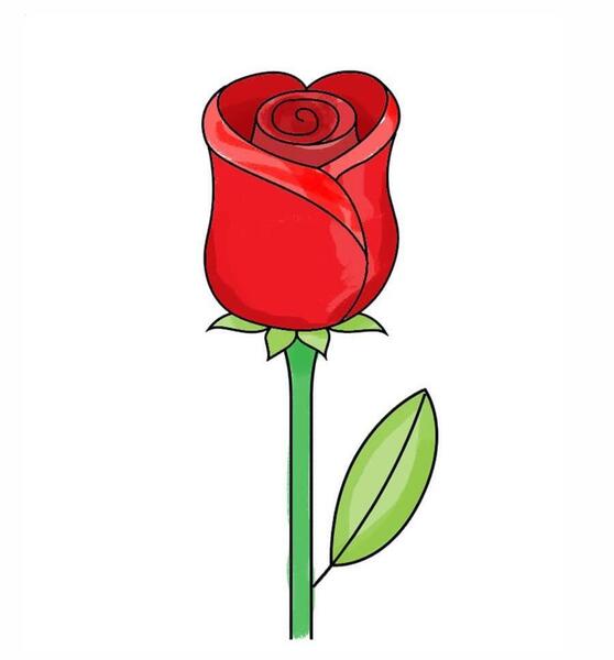 عکس گل قلبی