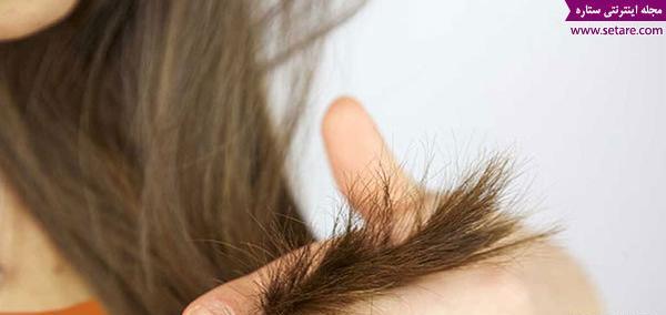 عکسهای ورزش ژیمناستیک
