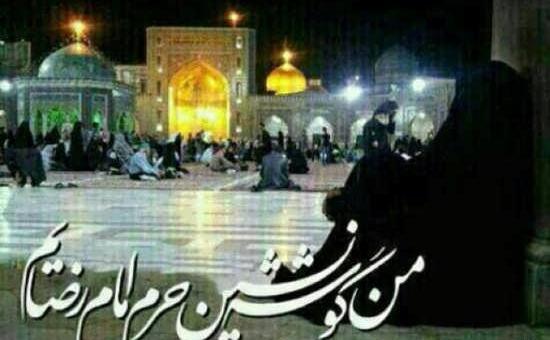 عکس نوشته یا امام رضای غریب