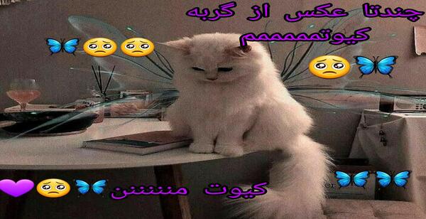عکس از سریال بازی مرکب