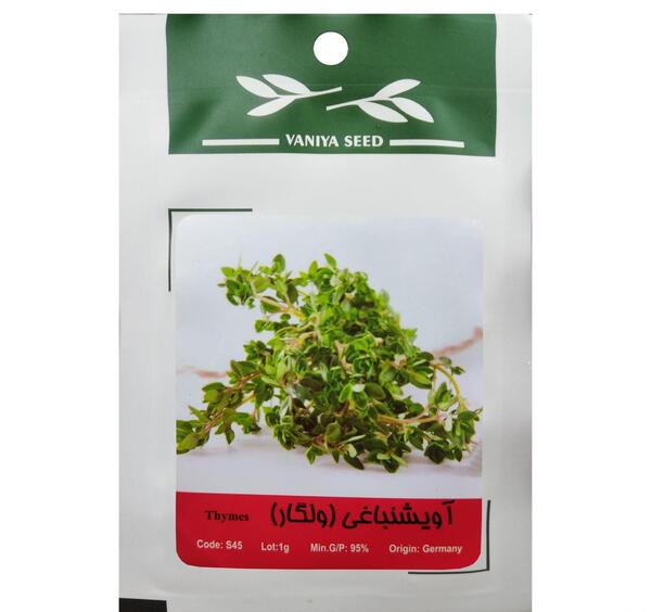عکس آویشن باغی
