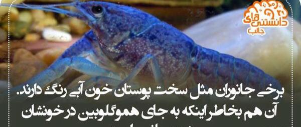 عکس نوشته های اموزنده علمی
