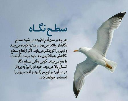 عکس نوشته های اموزنده علمی