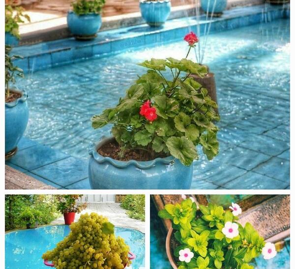 عکس نوشته با تو خوشبخت ترین آدم این قافله ام