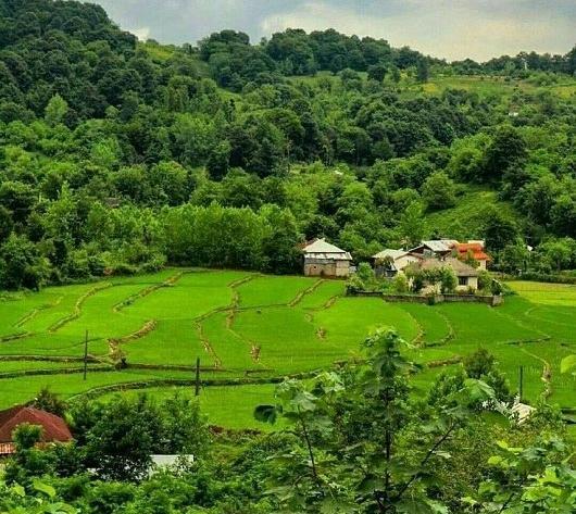 عکس پروفایل زیبا طبیعی