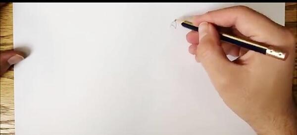 عکس طوطی سیاه قلم