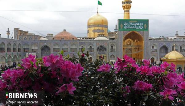 عکس حرم امام رضا سال ۱۴۰۰