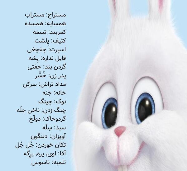 عکس خرگوش سفید برای پروفایل
