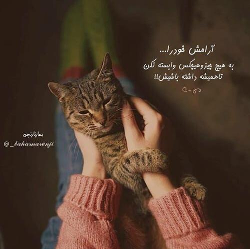 عکس نوشته پروفایل وابستگی