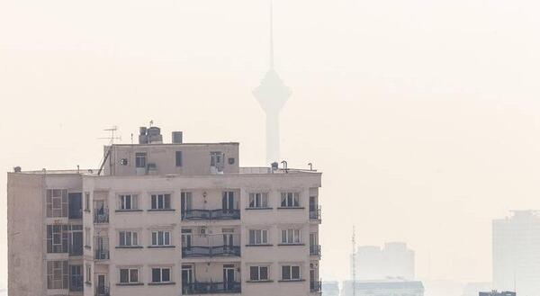 عکس تریاک درجه یک