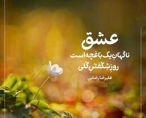 عکس نوشته عاشق حسود
