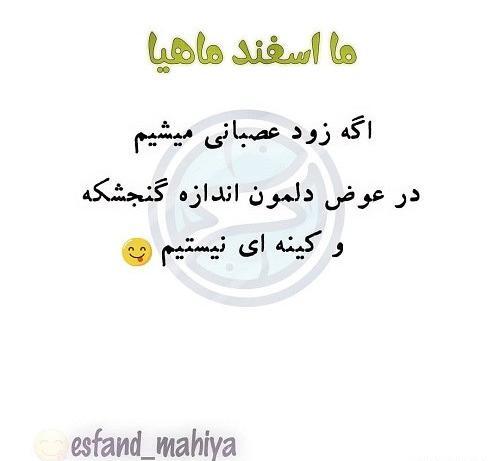 عکس نوشته غمگین اسفند ماهی