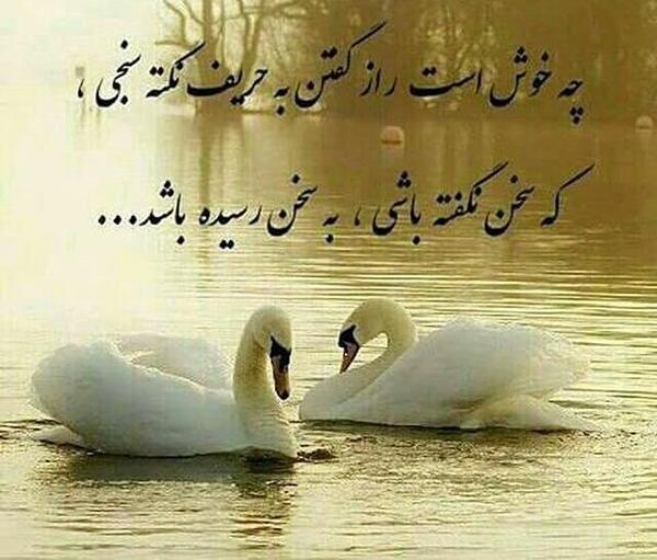 عکس نوشته چه ماهی هستی