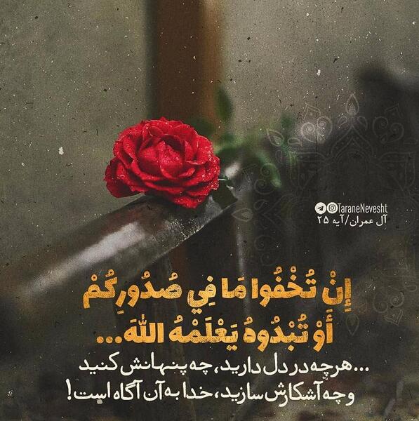عکس نوشته چه ماهی هستی