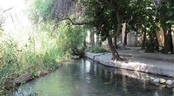 عکس راضیه بهرامی