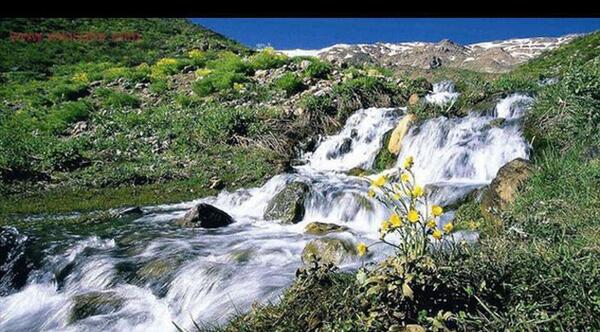 عکس راضیه بهرامی