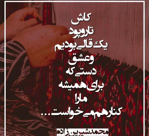 عکس نوشته از صدف