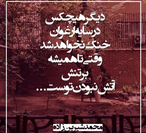 عکس نوشته از صدف