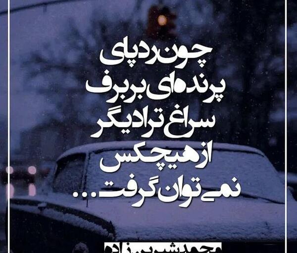 عکس نوشته از صدف