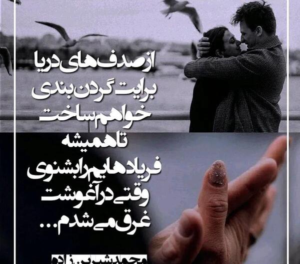 عکس نوشته از صدف