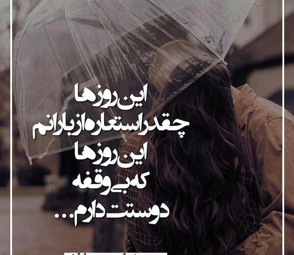 عکس نوشته از صدف