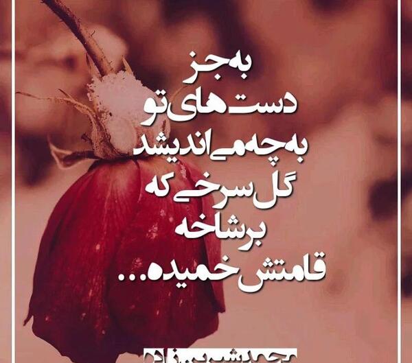 عکس نوشته از صدف