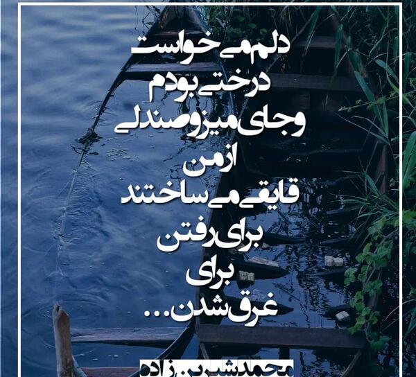 عکس نوشته از صدف