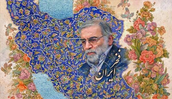 عکس حامد فخری زاده