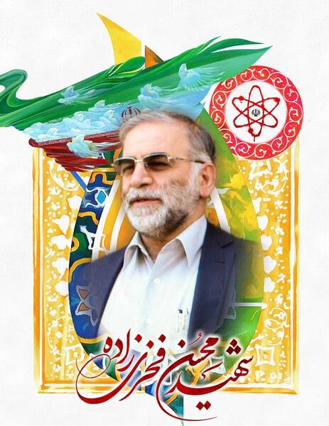 عکس حامد فخری زاده