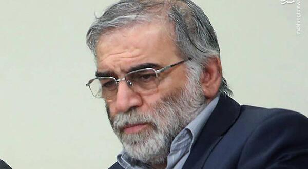 عکس حامد فخری زاده
