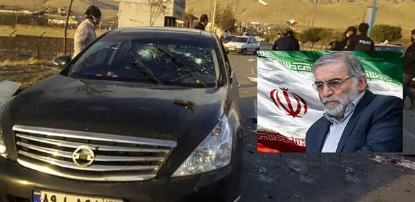 عکس حامد فخری زاده