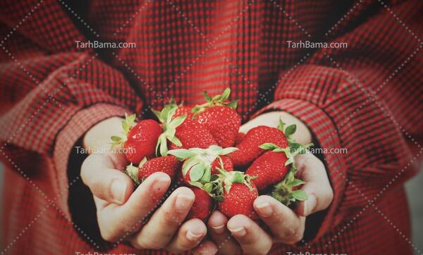 عکس دختر توت فرنگی