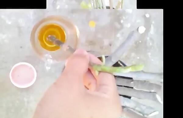 عکس نقاشی گل عباسی ساده