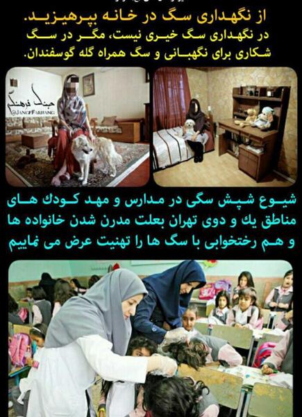 عکس شپش پشت گوش