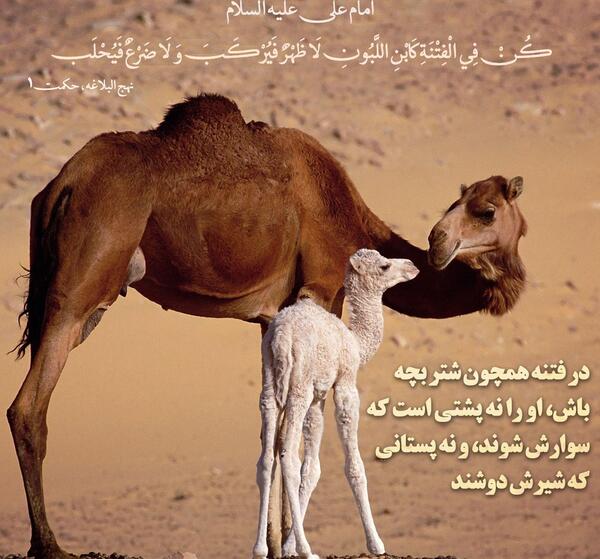 عکس نوشته ظهر آدینه