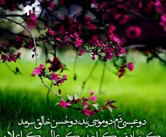 عکس کیک تولد غلامرضا