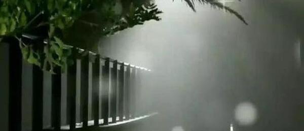 عکس نوشته قلبم گرفت