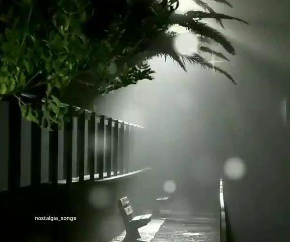 عکس نوشته قلبم گرفت
