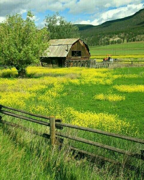 عکس طبیعت شهریور