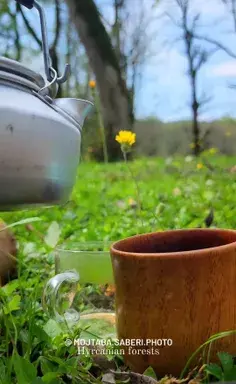 عکس آتش و طبیعت