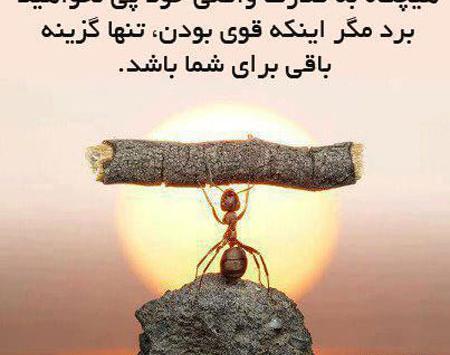 عکس نوشته فلسفی خاص