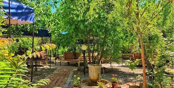 عکس دیدنی فشم