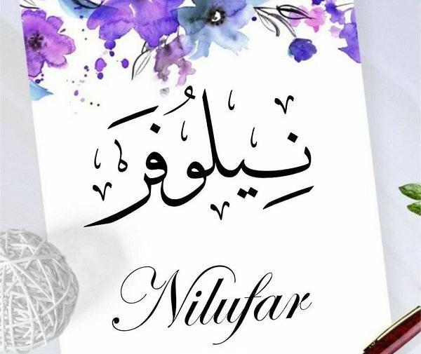 عکس نوشته اسم نیلوفر برای پروفایل