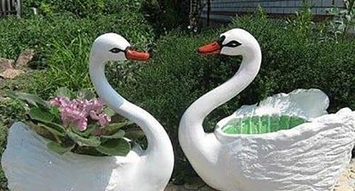 عکس گلدان قو