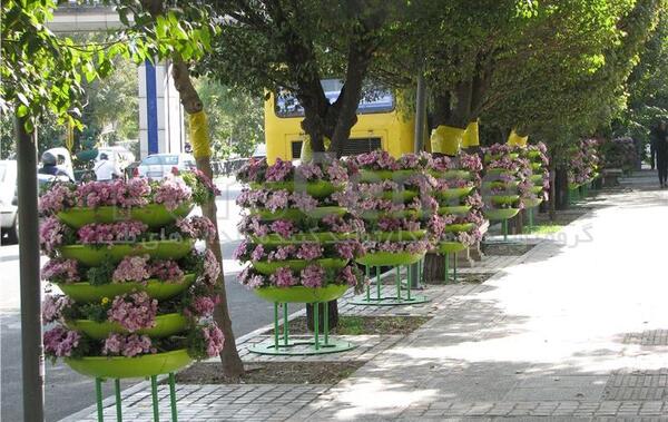 عکس گلدان قو