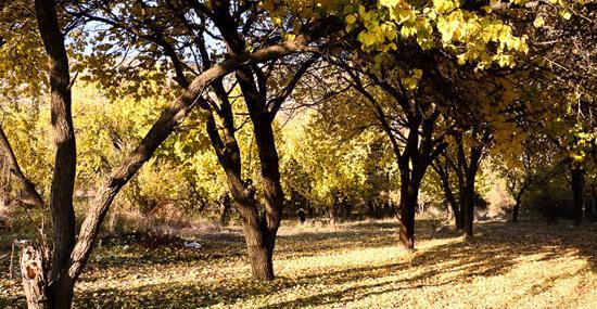عکس طبیعت یاسوج