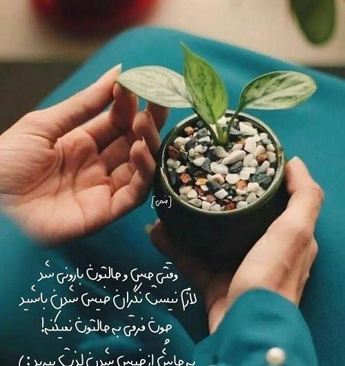 عکس نوشته شعر دور گردون گر دو روزی